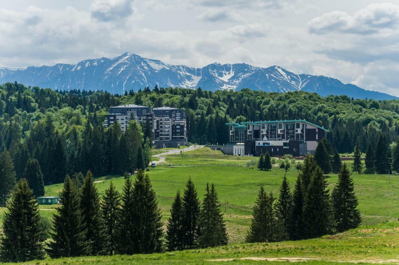 Timber View Apartment Silver Mountain Poiana Brasov Eksteriør bilde